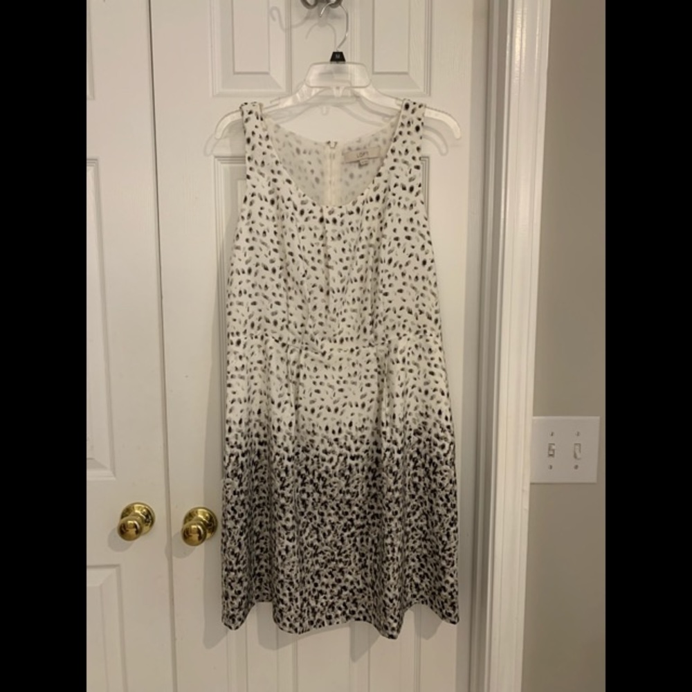 LOFT Dressy Sundress
